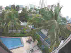 Rio Gardens (D12), Apartment #169050732